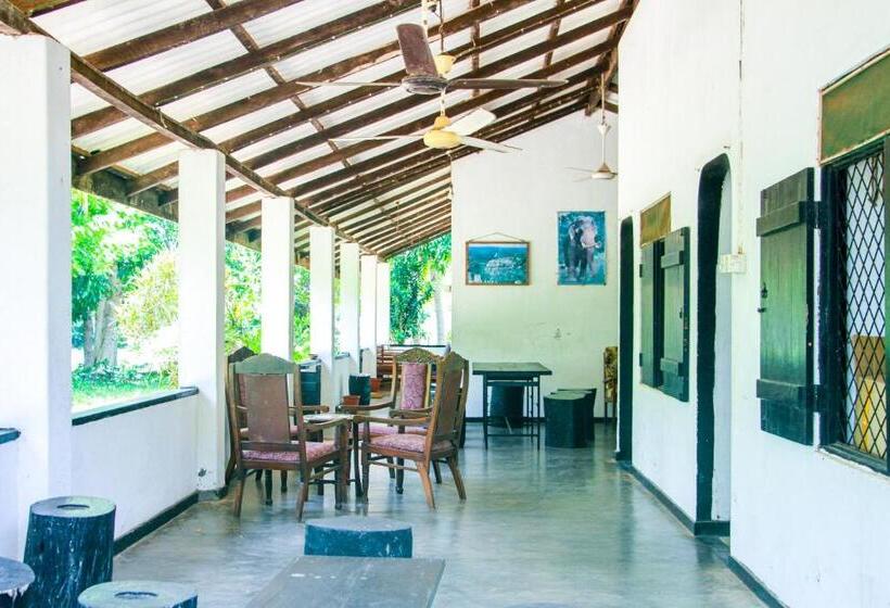 اتاق اکونومی, Banana Rest Sigiriya