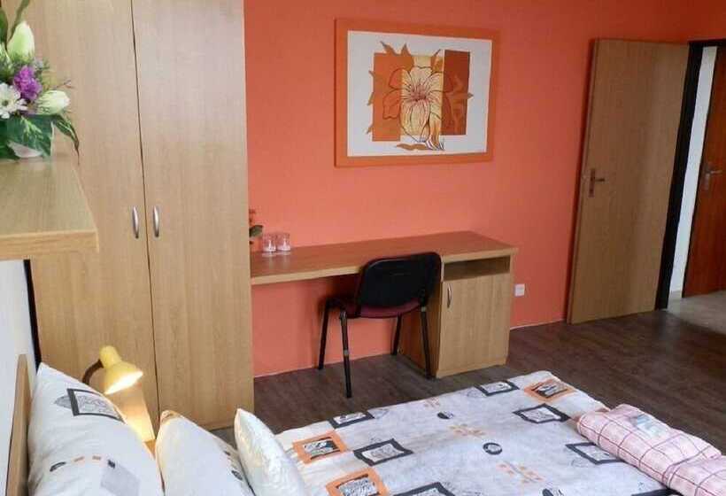 Номер Стандарт, Gól Prostějov