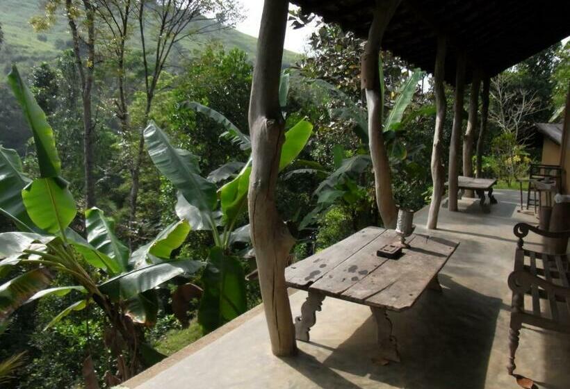 اتاق استاندارد, The Kandy Samadhicentre