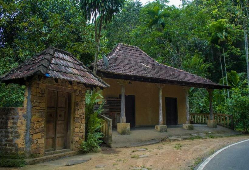 اتاق استاندارد, The Kandy Samadhicentre