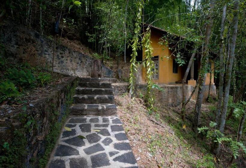 اتاق استاندارد یک نفره, The Kandy Samadhicentre