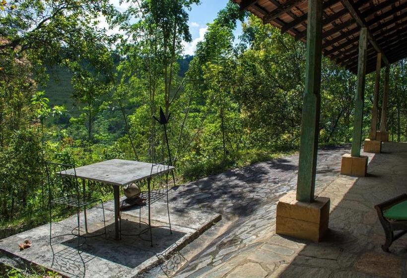 اتاق استاندارد یک نفره, The Kandy Samadhicentre