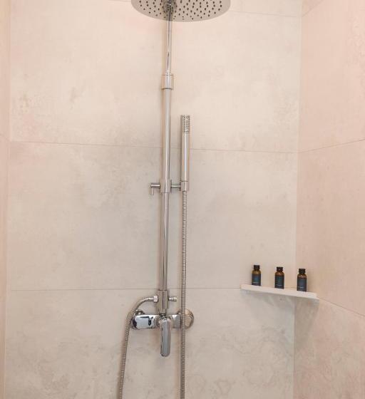 اتاق استاندارد, Roze Park Rooms
