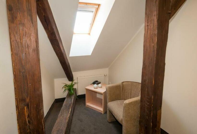 اتاق استاندارد, Relax Hotel Stork