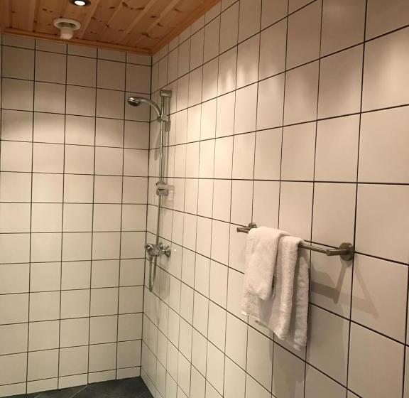 Апартаменты 3 Спальни, Rondane Haukliseter Fjellhotell