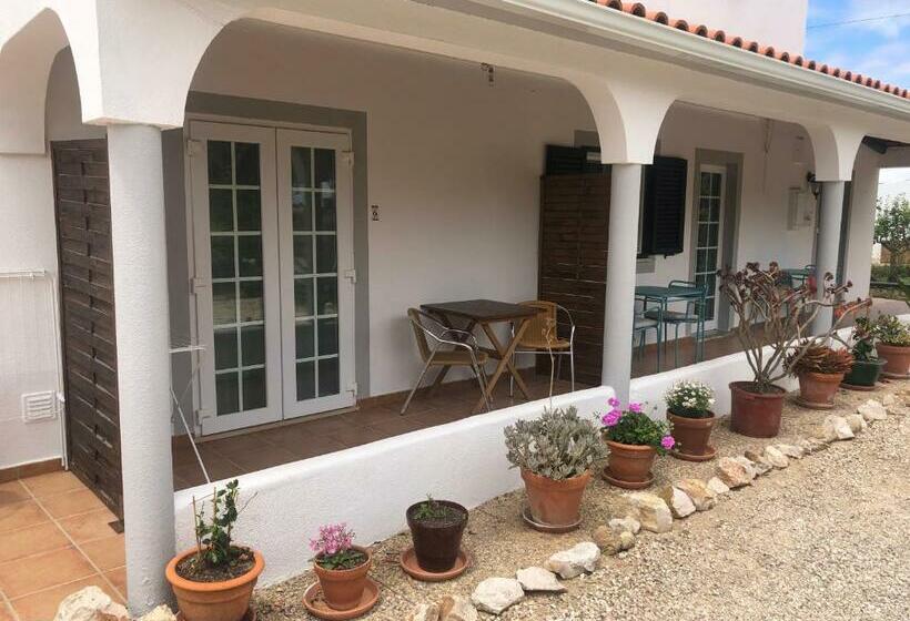 Номер Стандарт с Террасой, Casa Jardim Oasis