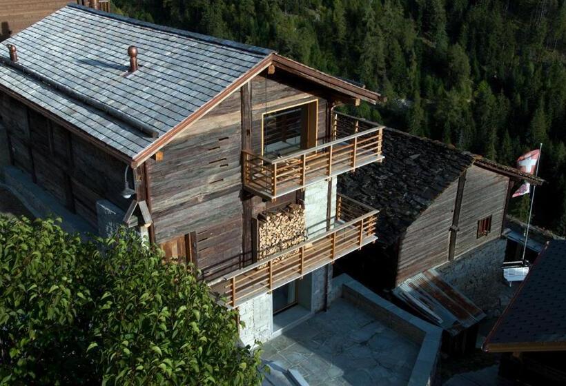 کلبه ییلاقی, Montagne Alternative