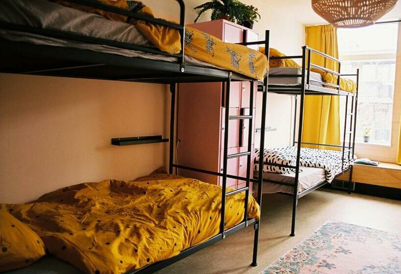 تختخواب در اتاق مشترک, Hostel Ani&haakien