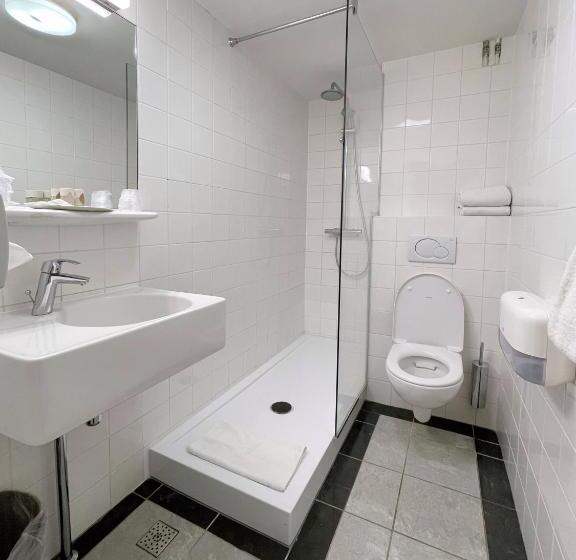 חדר אקונומי לארבעה, Residence Le Coin