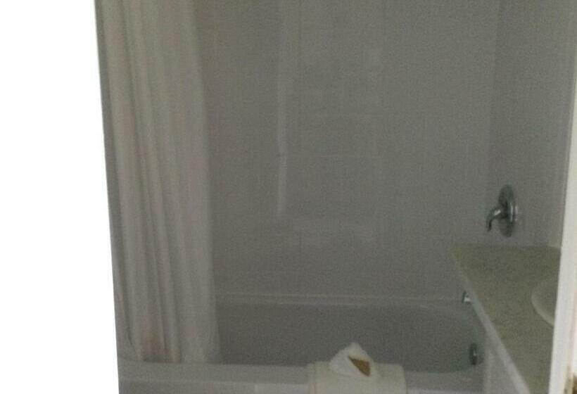 غرفة قياسية, Dwight Village Motel