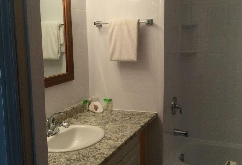 Номер Стандарт, Dwight Village Motel