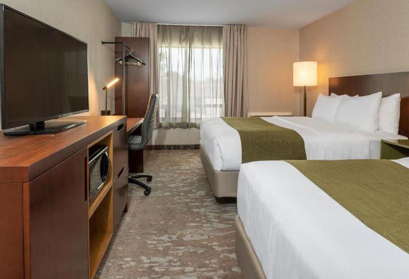 Номер Стандарт, Comfort Inn