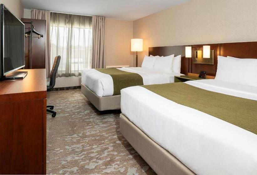 Номер Стандарт, Comfort Inn