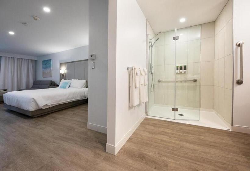 Quarto Estandar Cama King para Deficientes Físicos, Plante