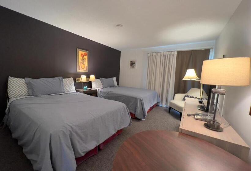 Номер Superior, Monashee Motel