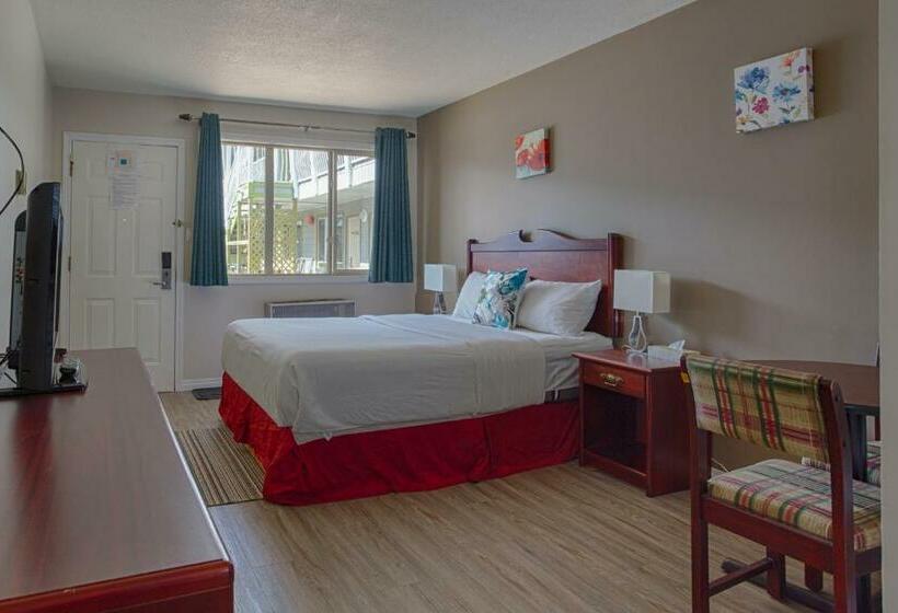 Студия Стандарт, Powder Mountain Lodge