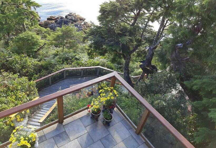 带大床的套房, Reef Point Oceanfront Bed And Breakfast