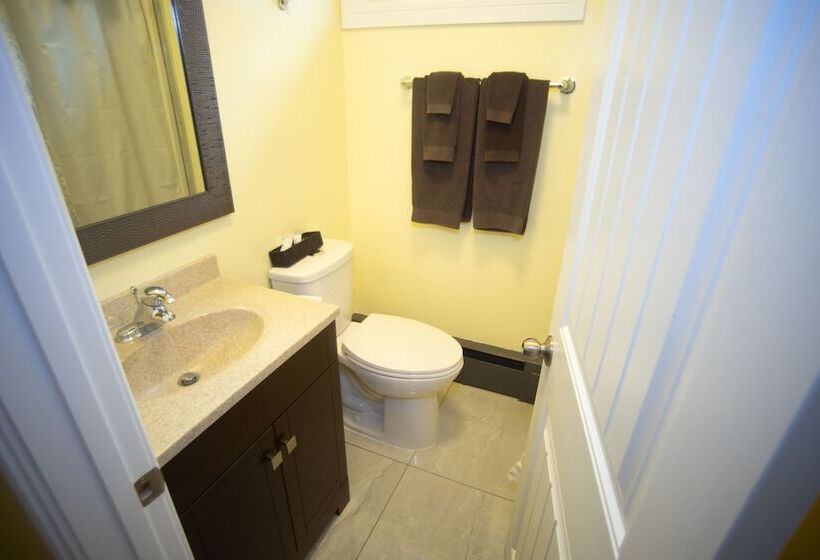 غرفه قياسيه سريرين مزدوجين, Stardust Motel