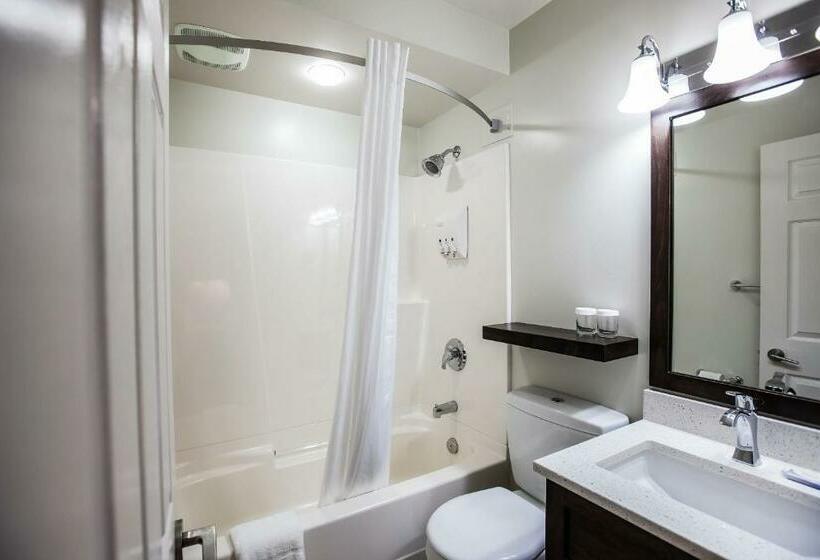 غرفة قياسية سرير كينج, Swiss Chalet Motel