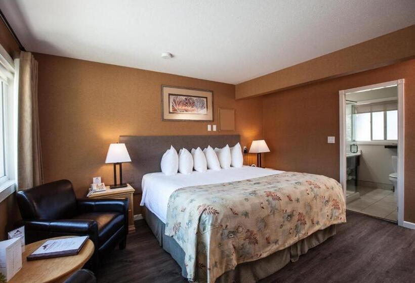 غرفة قياسية سرير كينج, Swiss Chalet Motel