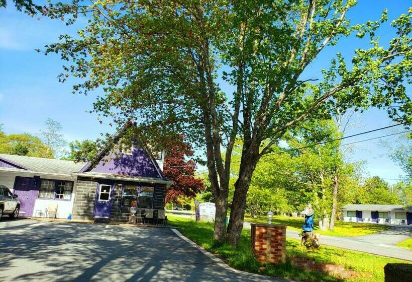 Номер Стандарт, Wildwood Motel