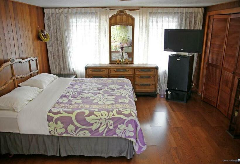 Семейное Студио, Shaka Shak Guest House