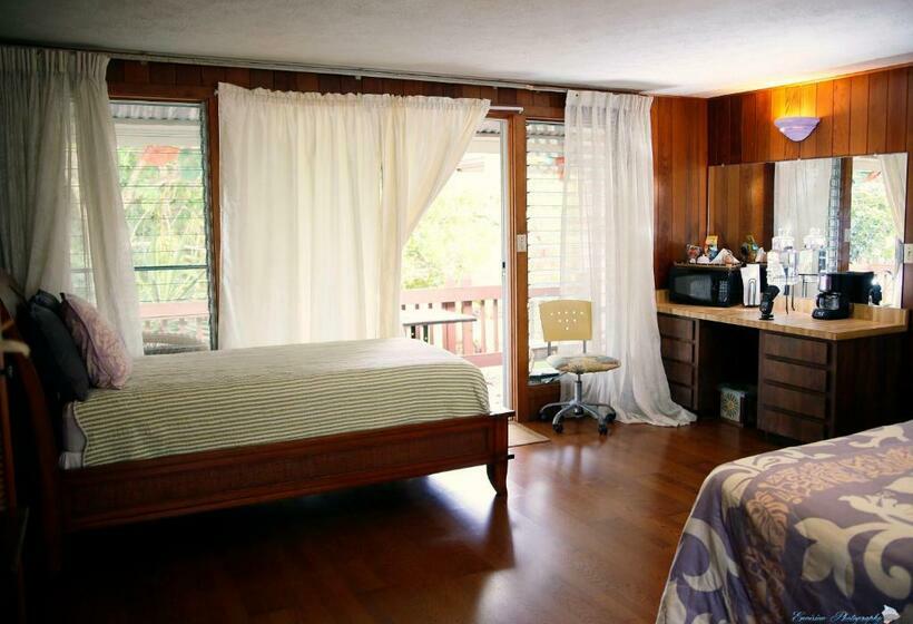 Семейное Студио, Shaka Shak Guest House