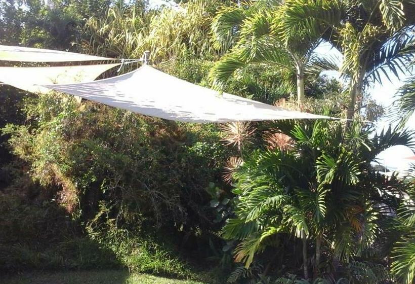 اتاق خانوادگی, Shaka Shak Guest House