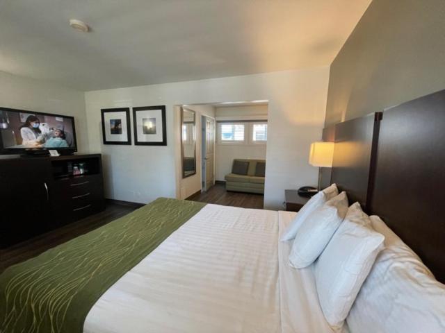 장애인을 위한 스탠다드 룸, Hi View Inn & Suites