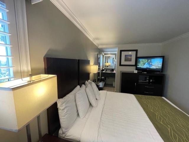 스탠다드 룸, Hi View Inn & Suites