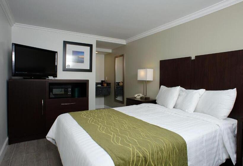 스탠다드 룸, Hi View Inn & Suites