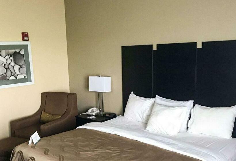 Номер Стандарт, Quality Inn & Suites Mendota Near I 39