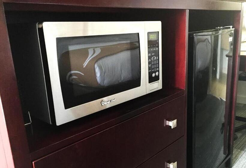 带大床的标准间, Quality Inn & Suites By The Parks