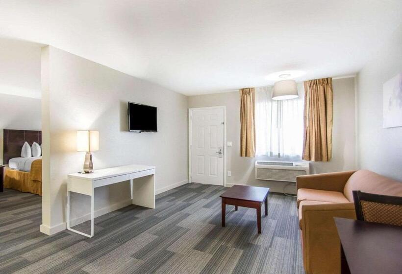 套房, Quality Inn & Suites By The Parks