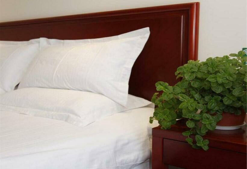 اتاق استاندارد با تخت بزرگ, Greentree Inn Jiuquan Century Plaza