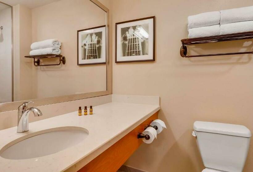 غرفة قياسية سرير كينج, Best Western Plus Tuscumbia/muscle Shoals Hotel & Suites