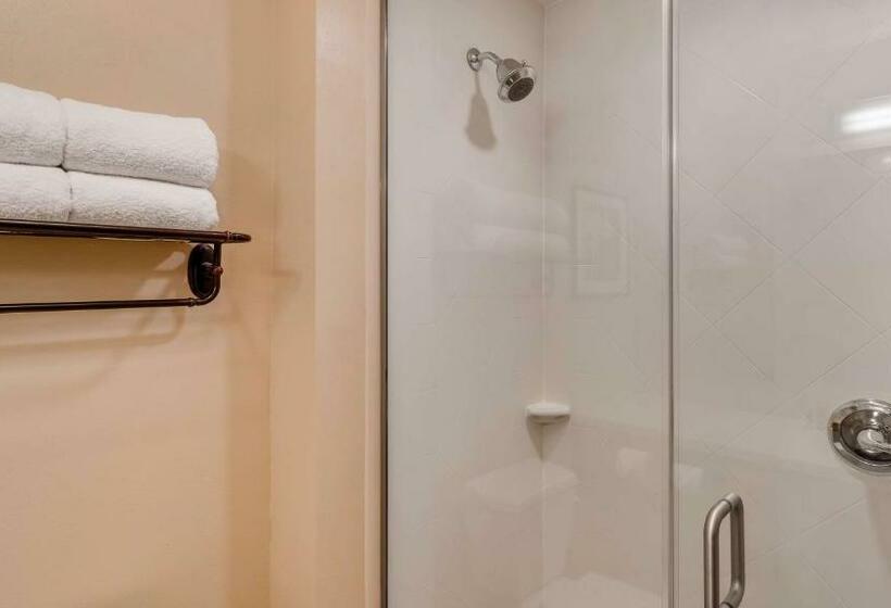 Номер Стандарт, Best Western Plus Tuscumbia/muscle Shoals Hotel & Suites