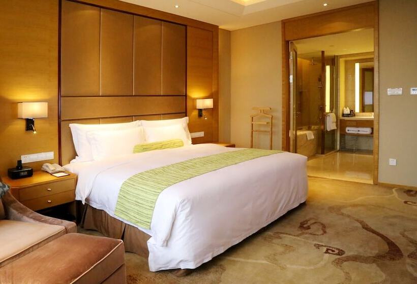 اتاق لوکس, Wyndham Jingzhou