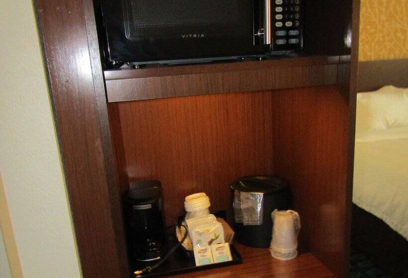 Люкс, Fairfield Inn & Suites By Marriott Sidney