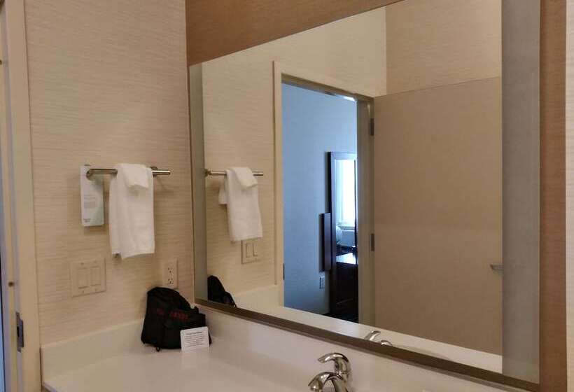 Люкс, Fairfield Inn & Suites By Marriott Sidney