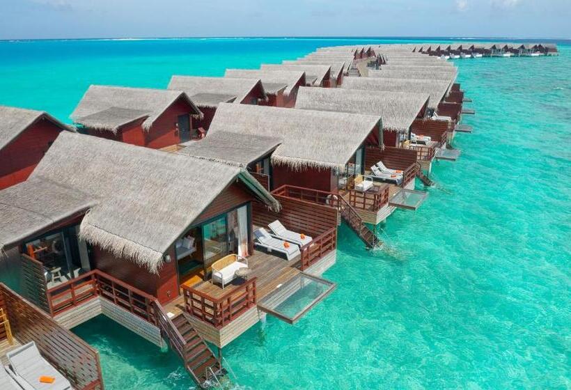 Вилла 1 Спальня, Grand Park Kodhipparu Maldives   Child Stay & Eat Free Until 30 Nov 2024