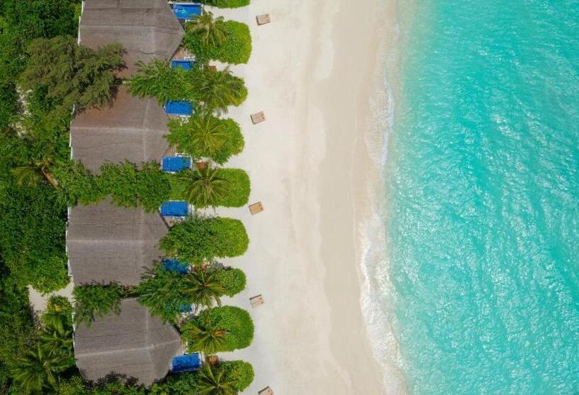 Вилла с 1 спальней и бассейном, Grand Park Kodhipparu Maldives   Child Stay & Eat Free Until 30 Nov 2024