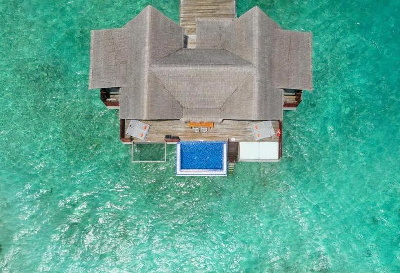Номер Стандарт, Grand Park Kodhipparu Maldives   Child Stay & Eat Free Until 30 Nov 2024