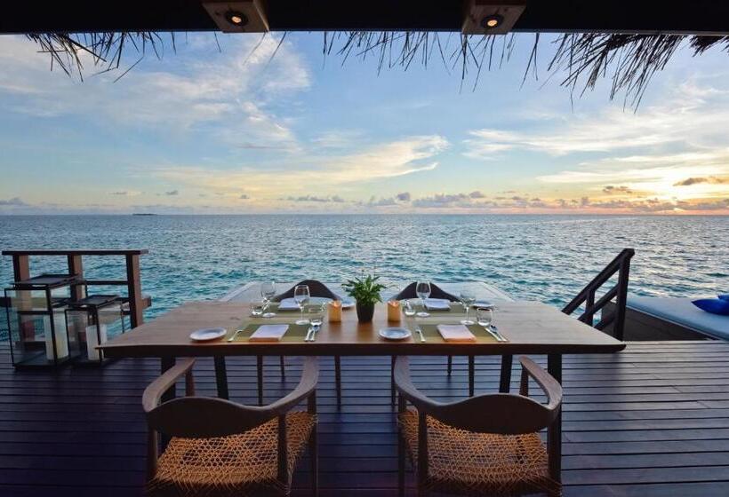 Номер Стандарт, Grand Park Kodhipparu Maldives   Child Stay & Eat Free Until 30 Nov 2024