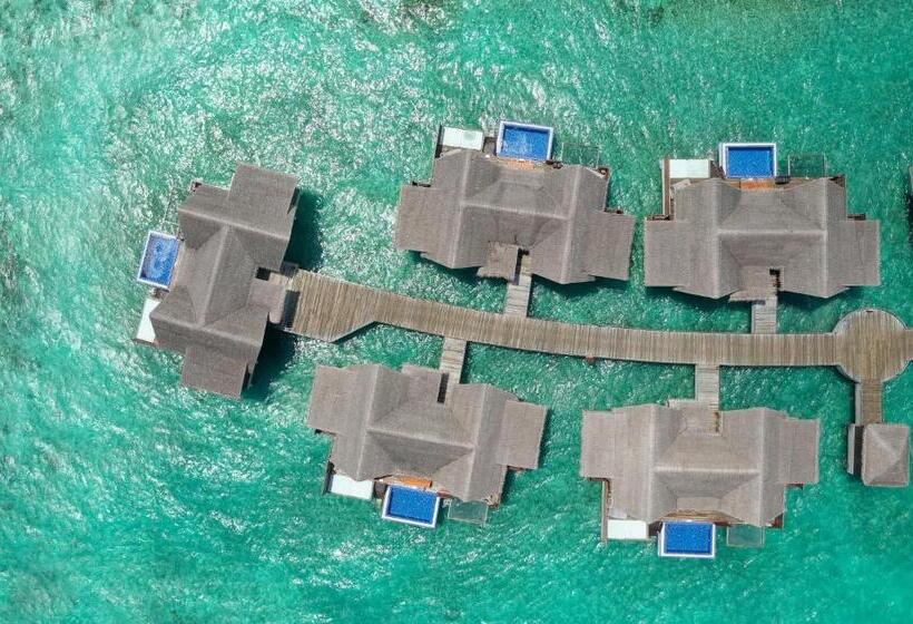 Номер Стандарт, Grand Park Kodhipparu Maldives   Child Stay & Eat Free Until 30 Nov 2024