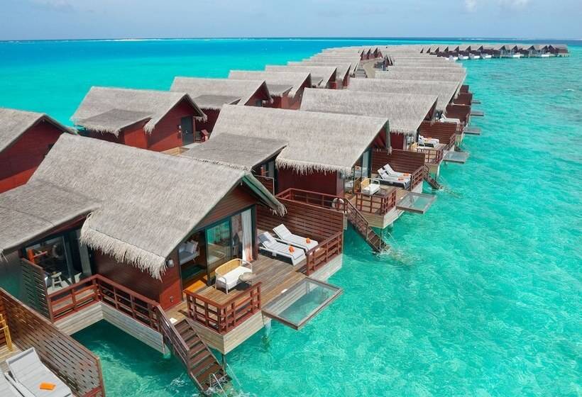 Вилла 1 Спальня, Grand Park Kodhipparu Maldives   Child Stay & Eat Free Until 30 Nov 2024