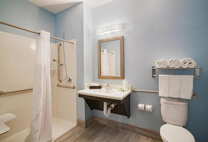 اتاق استاندارد با تخت بزرگ برای معلولان, Iris Garden Inn