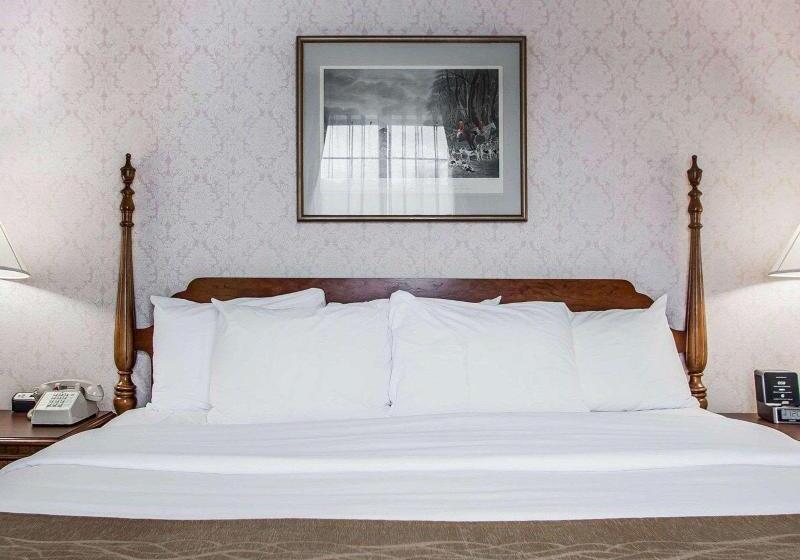 Стандартный Номер Кровать Кинг, Iris Garden Inn