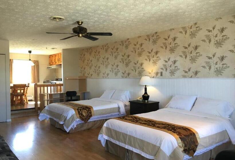 Семейное Студио, Motel Le Sabre