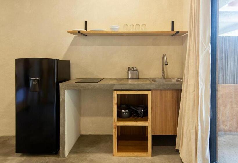 استودیو استاندارد با چشم‌انداز باغ, Casa Marisa